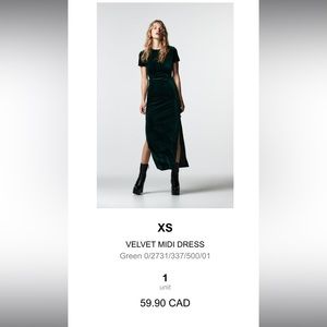 Zara velvet dress with cut out on the side. Perfect for a formal setting